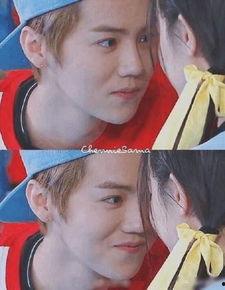 圈内大瓜爆料鹿晗,娱乐圈风云再起，揭秘明星背后的秘密  第1张